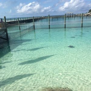 Meet your Posher, Kaylee